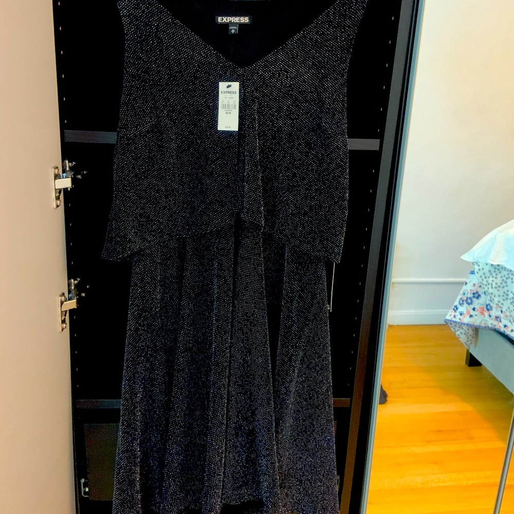 Never Worn Sparkly Gray Express Party Dress
